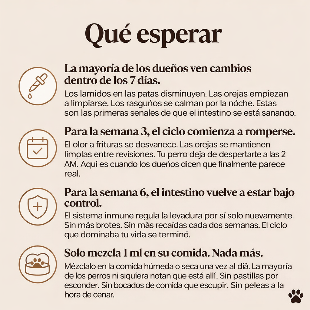 Alivio Natural para Infecciones por Hongos