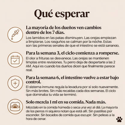 Alivio Natural para Infecciones por Hongos