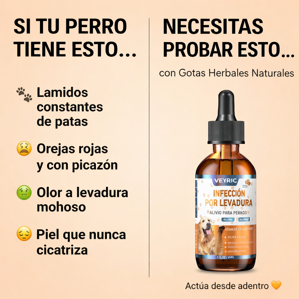 Alivio Natural para Infecciones por Hongos