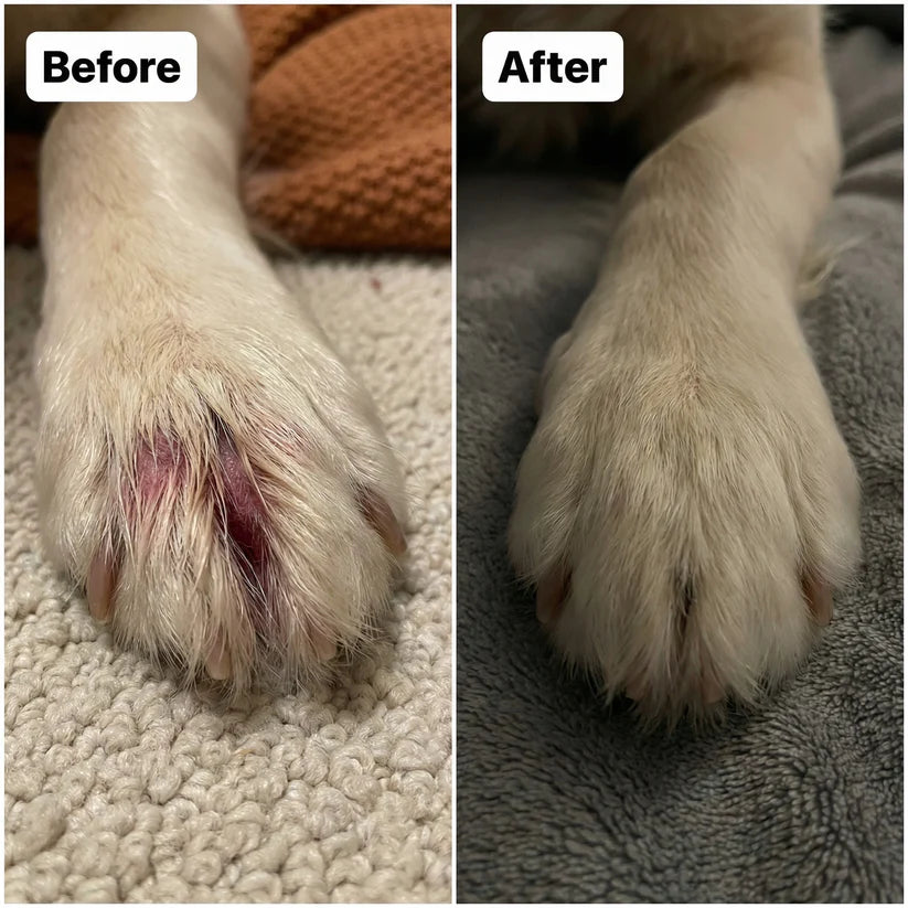 Alivio Natural para Infecciones por Hongos