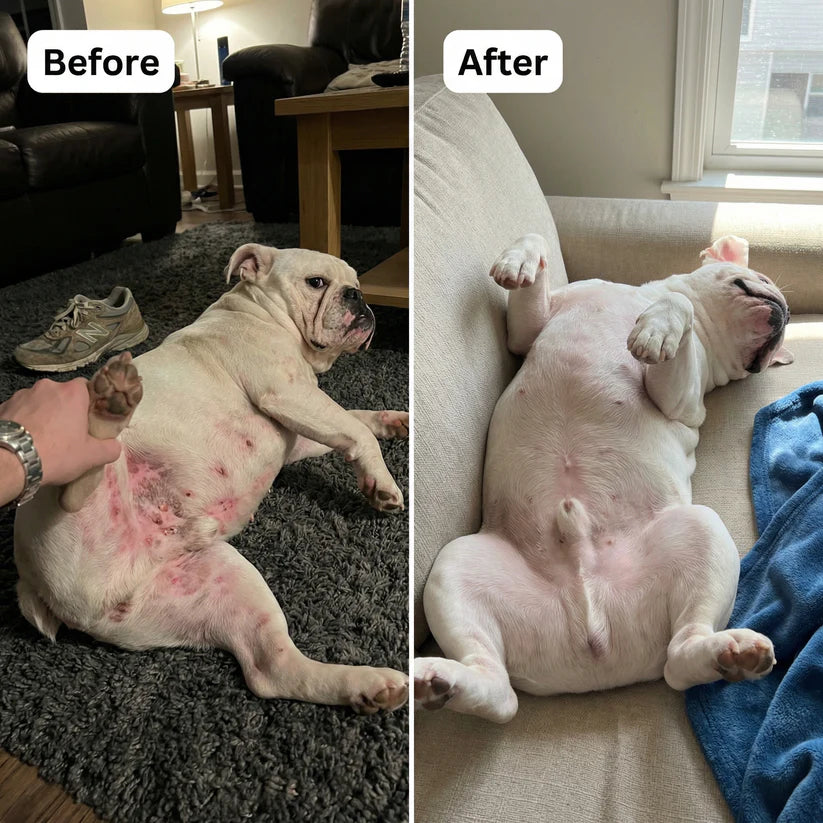 Alivio Natural para Infecciones por Hongos